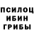 Псилоцибиновые грибы Psilocybine cubensis dev m