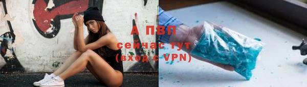 spice Аркадак