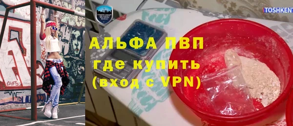 spice Аркадак