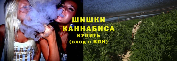 спиды Арсеньев